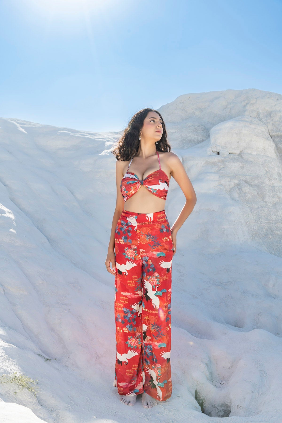 Twisted Bikini Set paired with Medusa Pants in Winter Solstice